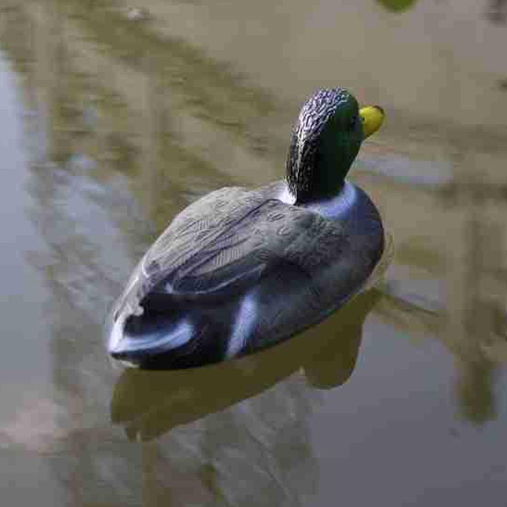 หุ่นเป็ดจำลองลอยน้ำ สำหรับตกเป - Decoy Duck Plastic บทวิจารณ์และราคา