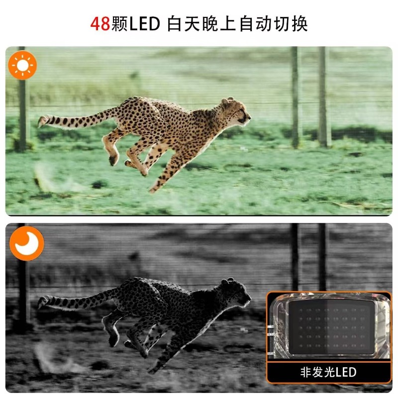 กล้องล่าสัตว์ DL001 ลดราคาพิเศ - Outdoor Hunting Images บทวิจารณ์และราคา