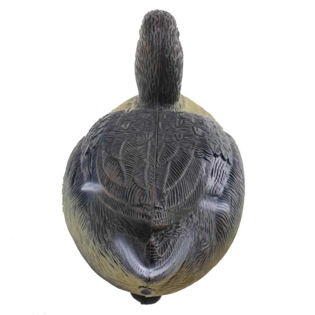 หุ่นเป็ดพลาสติกทนทาน อุปกรณ์ล่ - Decoy Duck Plastic บทวิจารณ์และราคา