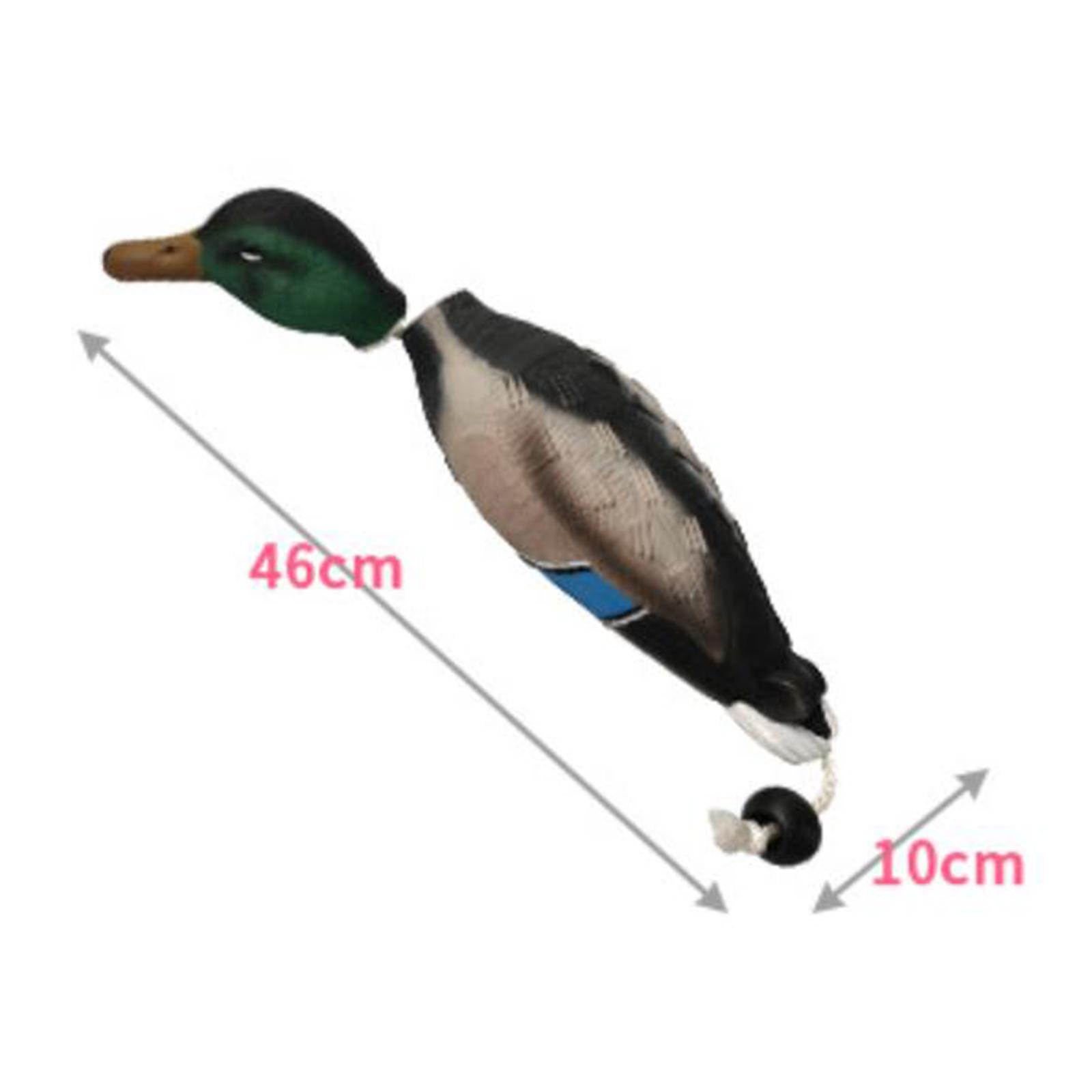 หุ่นจำลองเป็ดมัลลาร์ด ของเล่นจ - Decoy Duck Plastic บทวิจารณ์และราคา