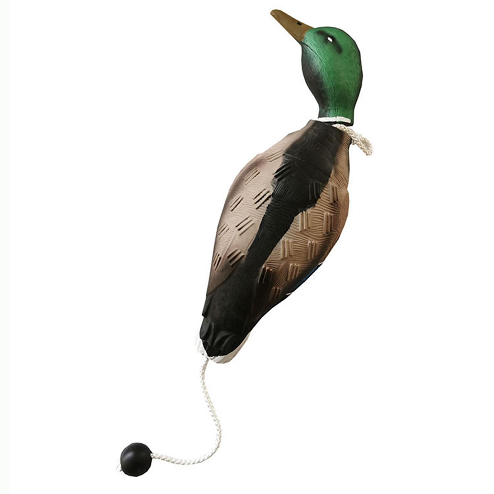 หุ่นจำลองเป็ดมัลลาร์ด ของเล่นจ - Decoy Duck Plastic บทวิจารณ์และราคา