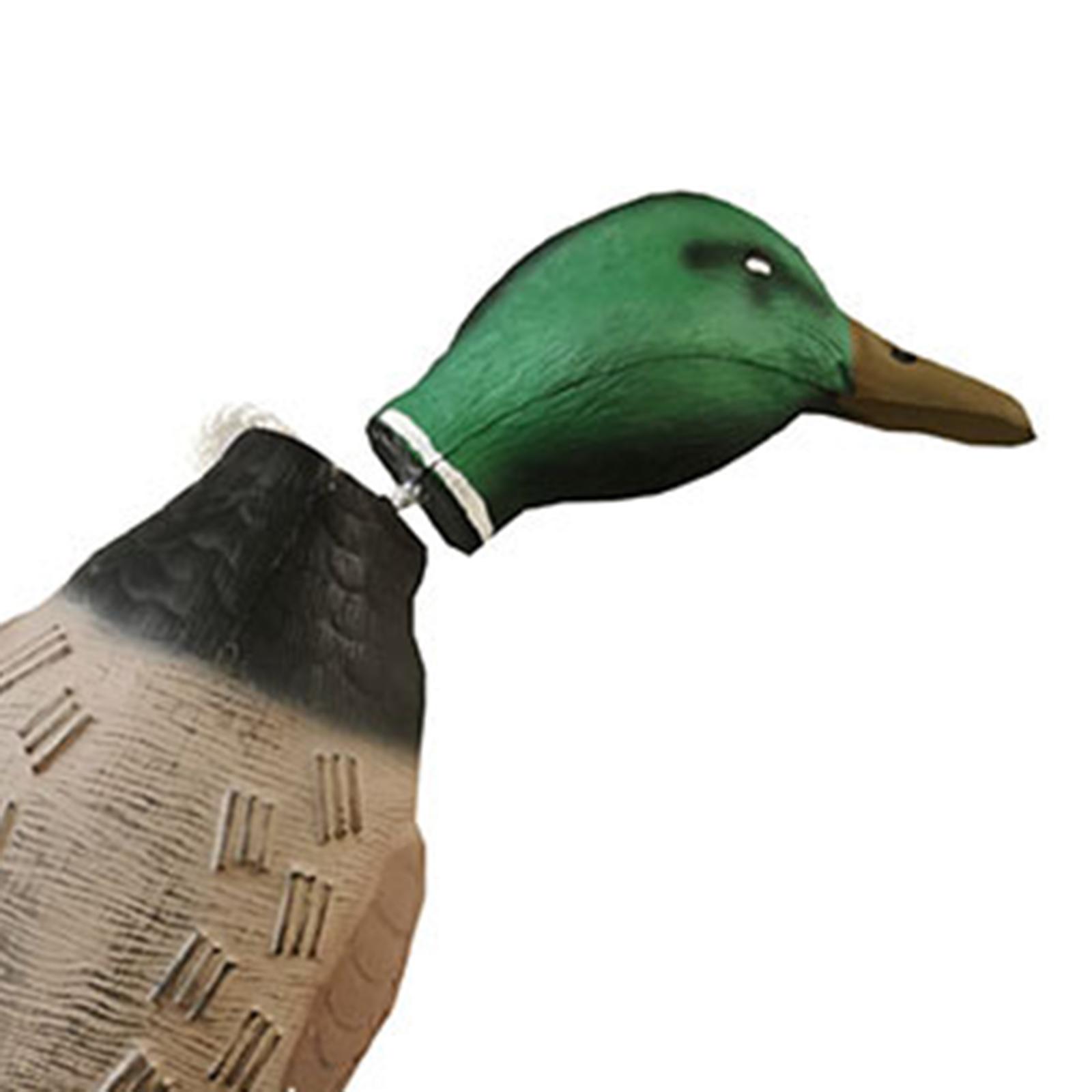 หุ่นจำลองเป็ดมัลลาร์ด ของเล่นจ - Decoy Duck Plastic บทวิจารณ์และราคา