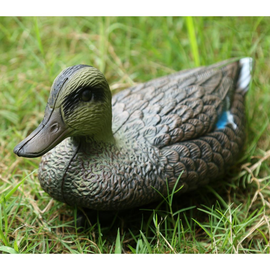 หุ่นเป็ดแมนดารินพลาสติกขนาดเท่ - Decoy Duck Plastic บทวิจารณ์และราคา