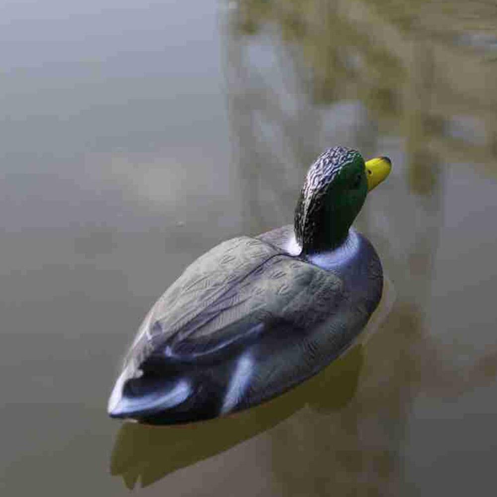 เหยื่อล่อเป็ดพลาสติกเหมือนจริง - Decoy Duck Plastic บทวิจารณ์และราคา