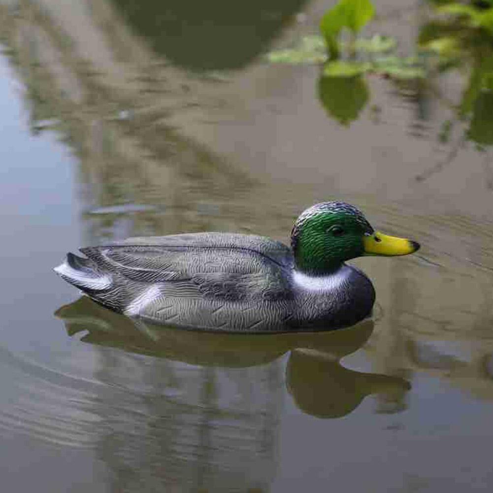 เหยื่อล่อเป็ดพลาสติกเหมือนจริง - Decoy Duck Plastic บทวิจารณ์และราคา