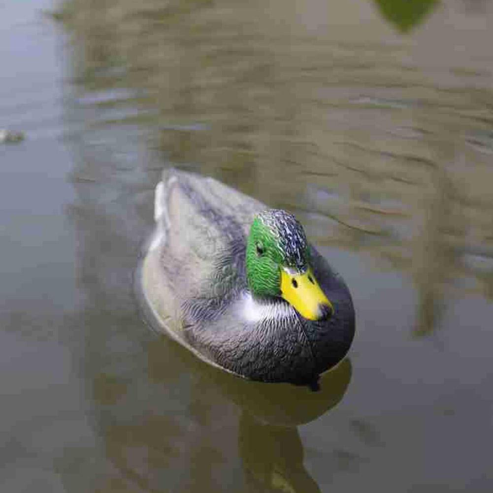 เหยื่อล่อเป็ดพลาสติกเหมือนจริง - Decoy Duck Plastic บทวิจารณ์และราคา