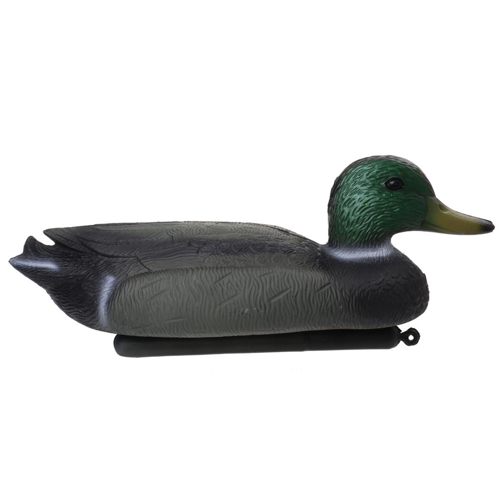 หุ่นจำลองเป็ดลอยน้ำที่สมจริง ท - Decoy Duck Plastic บทวิจารณ์และราคา