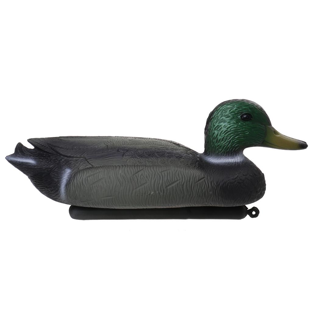 หุ่นจำลองเป็ดลอยน้ำที่สมจริง ท - Decoy Duck Plastic บทวิจารณ์และราคา