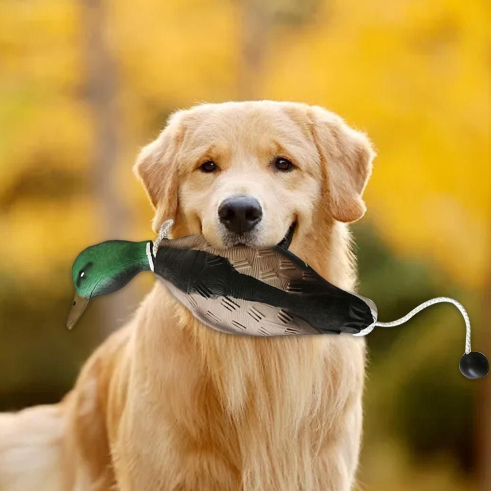 Mallard Duck Decoy สุนัขของเล่ - Decoy Duck Plastic บทวิจารณ์และราคา