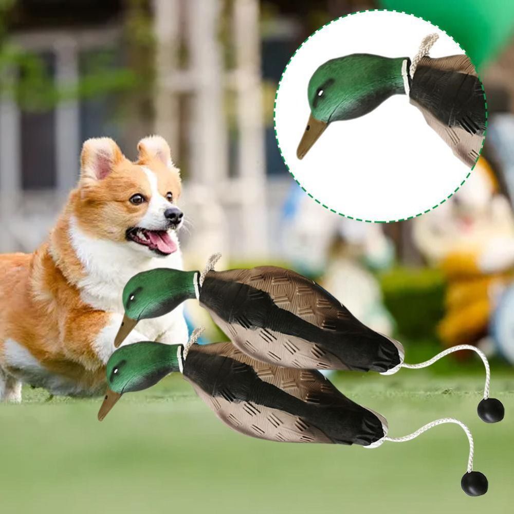Mallard Duck Decoy สุนัขของเล่ - Decoy Duck Plastic บทวิจารณ์และราคา