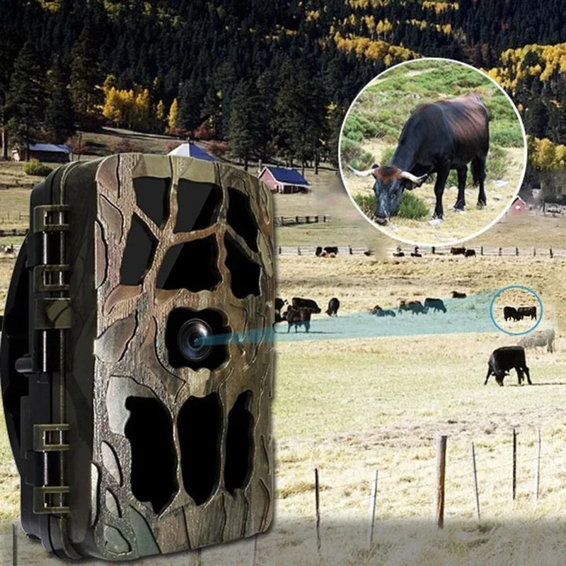 H982 IP66กันน้ำ4K กลางแจ้งอินฟ - Outdoor Hunting Images บทวิจารณ์และราคา