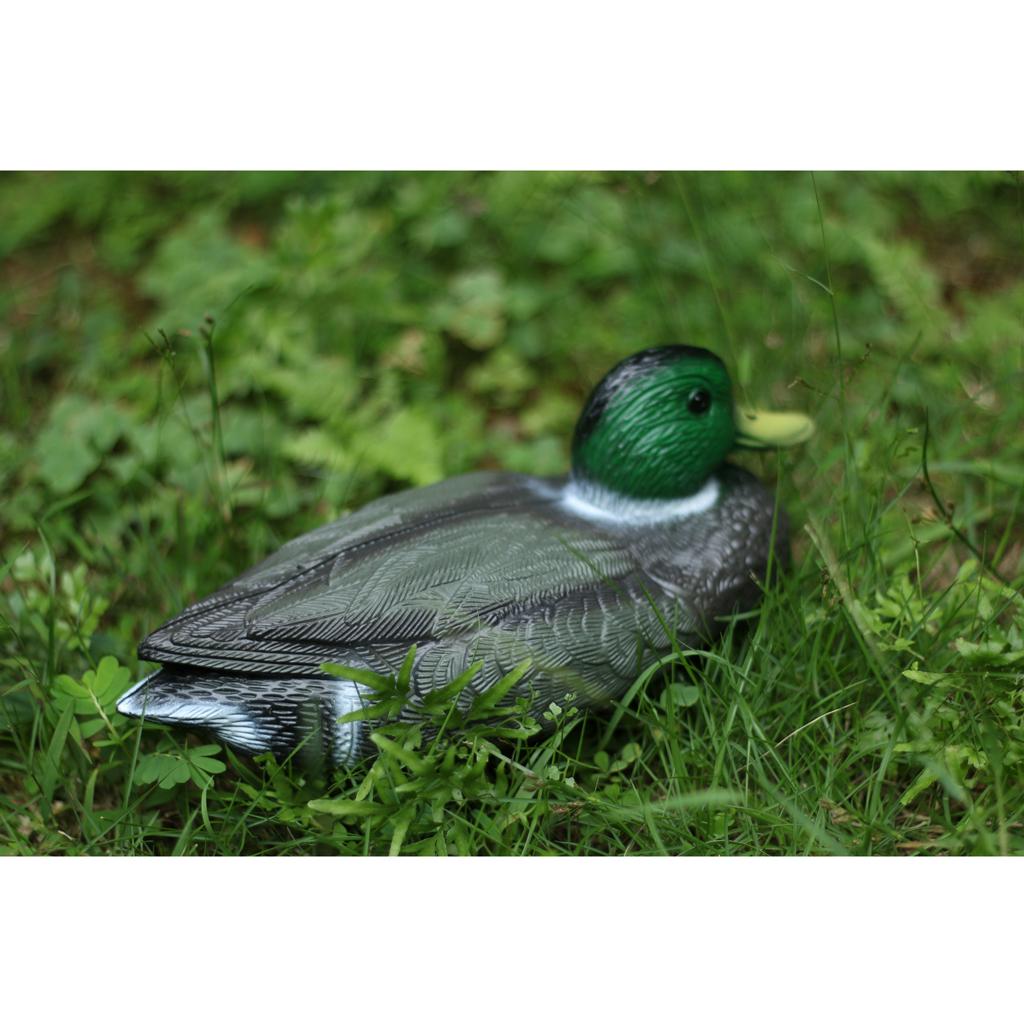 หุ่นเป็ดพลาสติกเหมือนจริง สำหร - Decoy Duck Plastic บทวิจารณ์และราคา