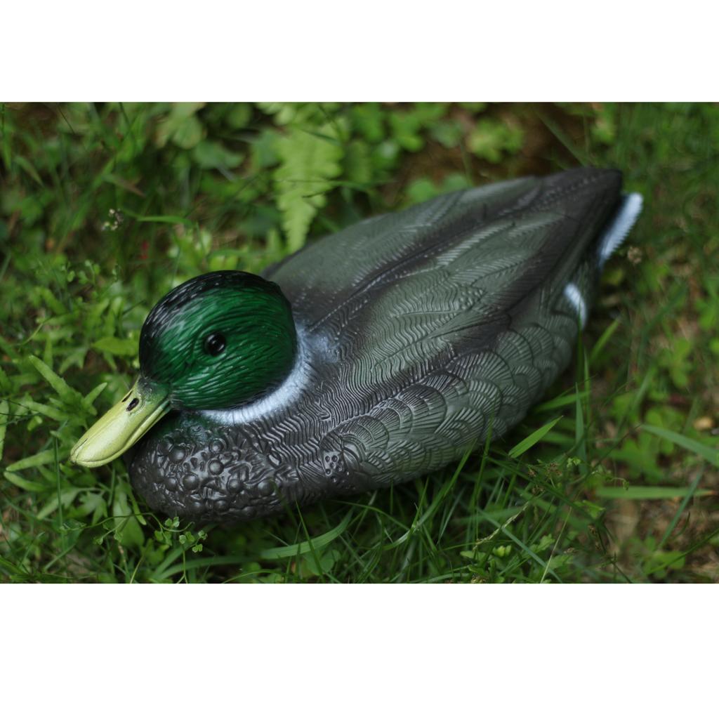 หุ่นเป็ดพลาสติกเหมือนจริง สำหร - Decoy Duck Plastic บทวิจารณ์และราคา