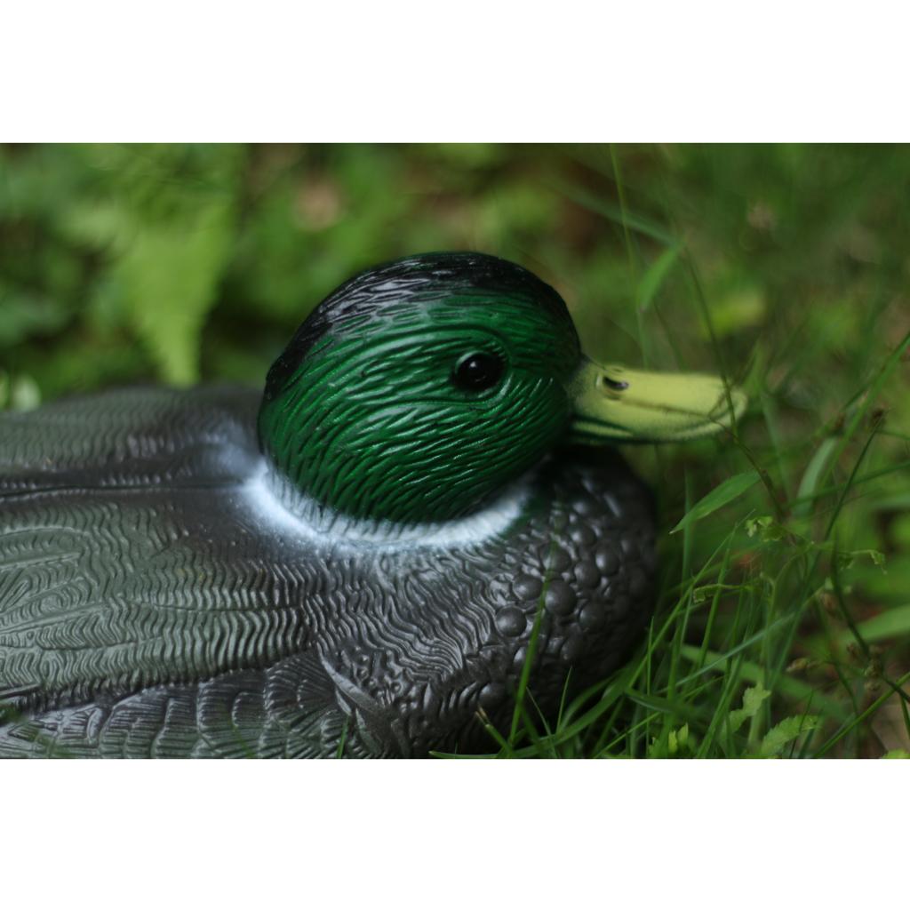 หุ่นเป็ดพลาสติกเหมือนจริง สำหร - Decoy Duck Plastic บทวิจารณ์และราคา