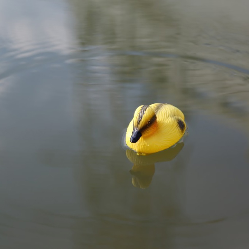 รูปปั้นเป็ดลอยน้ำ ของตกแต่งบ่อ - Decoy Duck Plastic บทวิจารณ์และราคา